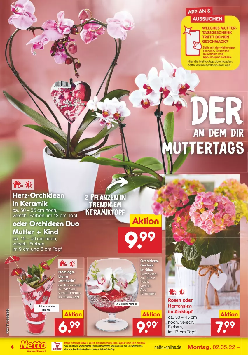 Aktueller Prospekt Netto Marken-Discount - Filial-Angebote - von 02.05 bis 07.05.2022 - strona 4 - produkty: blume, Blüte, eis, hortensie, hortensien, ndk, orchidee, orchideen, pflanze, pflanzen, reis, rosen, Ti, topf