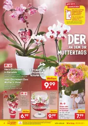 Gazetka promocyjna Netto Marken-Discount - Filial-Angebote - Gazetka - ważna od 07.05 do 07.05.2022 - strona 4 - produkty: blume, Blüte, eis, hortensie, hortensien, ndk, orchidee, orchideen, pflanze, pflanzen, reis, rosen, Ti, topf