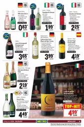 Gazetka promocyjna Metro - GastroJournal - Gazetka - ważna od 04.05 do 04.05.2022 - strona 19 - produkty: amaro, aperitif, beere, beeren, Birnen, Blaubeer, blaubeere, brillant sekt, burgunder, campo viejo, Casali, cuvée, ecco, ente, flasche, frizzante, frucht, früchte, früchten, getränk, getränke, grill, grillo, Holz, Lakritz, Lambrusco, mac, Palette, pfirsich, pfirsiche, primitivo, prosecco, Rauch, riesling, rioja, schwarzriesling, sekt, söhnlein, söhnlein brillant, spätburgunder, tempranillo, Ti, top-hit, trolli, trollinger, vanille, wein