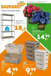 Gazetka promocyjna  - Gazetka - ważna od 05.09 do 05.09.2026 - strona 14 - produkty: Blüte, Eckregal, eis, Garten, globus fachmärkte, Holz, hortensie, hydrangea, hydrangea macrophylla, korb, mac, regal, steckregal, topf, Wanne, wäschekorb