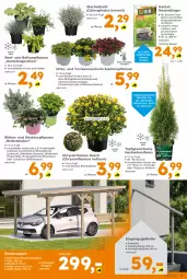 Gazetka promocyjna  - Gazetka - ważna od 05.09 do 05.09.2026 - strona 5 - produkty: Bau, beutel, blume, Blüte, Carport, chrysanthemen, curry, Draht, dünger, edelstahl, ente, Heu, Konifere, kraft, Kraut, Lobelie, milch, rasen, rasendünger, rum, Ti, topf