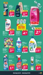 Gazetka promocyjna Netto - Woche 30 - Gazetka - ważna od 27.07 do 27.07.2024 - strona 13 - produkty: bio, Bref, bref power, bürste, bürsten, domestos, Dr. Best, duschdas, duschgel, eis, fleisch, mundwasser, Odol, pasta, Rauch, reiniger, rwe, schauma, schauma shampoo, shampoo, shampoo oder spülung, Softlan, spülung, Ti, waschmittel, wasser, wc-gel, weichspüler, zahnbürste, zahnbürsten, zahnpasta