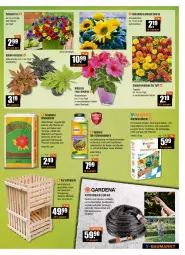 Gazetka promocyjna Vmarkt - V-Baumarkt - Gazetka - ważna od 29.06 do 29.06.2022 - strona 3 - produkty: aust, Bau, bio, blume, blumen, blumenerde, dünger, ente, erde, Holz, kartoffel, Kinder, korn, kräuter, kübelpflanzen, LG, natur, obst, pflanze, pflanzen, Reinigung, rosen, schlauch, schneckenkorn, sonnenblume, Stier, Ti, Tiere, topf, übertopf, wasser, Wild