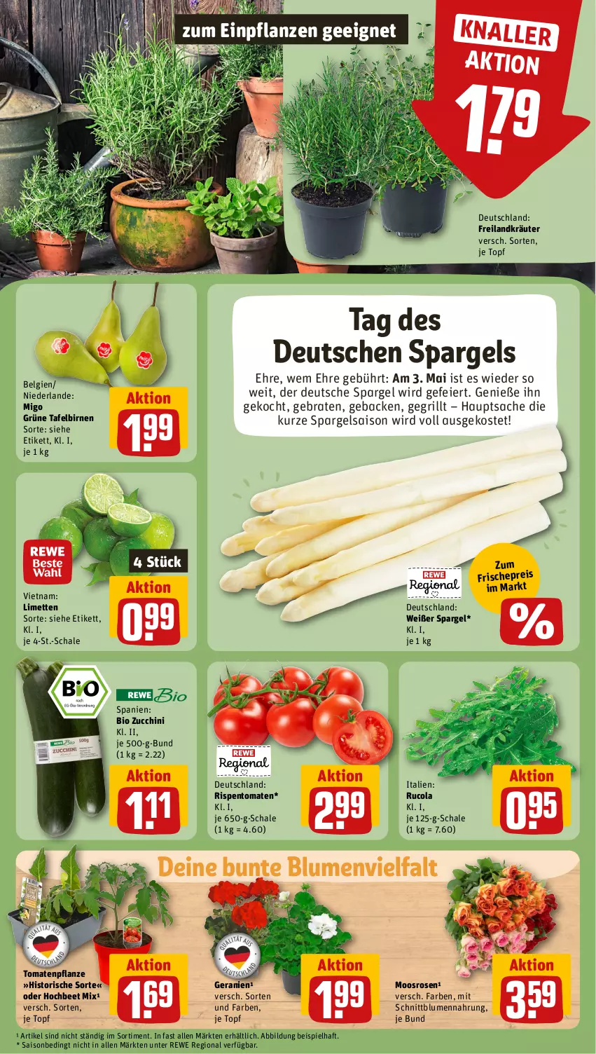 Aktueller Prospekt Rewe - Prospekte - von 29.04 bis 04.05.2024 - strona 7 - produkty: bio, Birnen, blume, blumen, braten, cola, eier, eis, freilandkräuter, geback, geranie, geranien, grill, kräuter, LG, limette, limetten, Mett, metten, ndk, pflanze, pflanzen, reis, rispentomaten, rosen, rucola, sac, Schal, Schale, spargel, tafelbirnen, Ti, tomate, tomaten, topf, zucchini