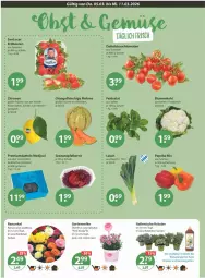 Gazetka promocyjna Vmarkt - Prospekte - Gazetka - ważna od 11.03 do 11.03.2026 - strona 4 - produkty: abis, apfel, beere, beeren, bio, blume, blumen, blumenkohl, Datteln, dünger, eis, erdbeere, erdbeeren, feldsalat, fleisch, früchte, Garten, gartennelke, grana, granatapfel, granatapfelkerne, kräuter, melone, natur, orange, paprika, paprika mix, Rana, Rauch, salat, Schal, Schale, strauchtomaten, Ti, tomate, tomaten, topf, und gemüse, Yo, zitrone, zitronen