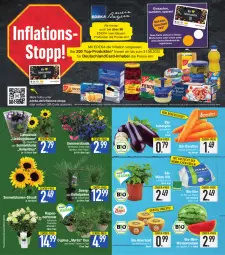 Gazetka promocyjna E Center - Angebote der Woche - Gazetka - ważna od 02.07 do 02.07.2022 - strona 2 - produkty: aubergine, beutel, bio, bio-karotten, blume, blumen, Campanula, deka, eier, eis, Elan, ente, gin, hortensie, hydrangea, Hydrangea paniculata, karotten, kiwi, Kiwi Gold, melone, minze, pflanze, pflanzen, reis, sonnenblume, sonnenblumen, Strohblume, Ti, topf, wasser, wassermelone