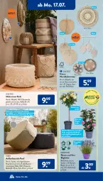 Gazetka promocyjna AldiSud - NÄCHSTE WOCHE - Gazetka - ważna od 22.07 do 22.07.2023 - strona 16 - produkty: bambus, Bau, baumwolle, Blüte, casa deco, dekoration, dell, eis, elle, kissen, korb, kulturtopf, lavendel, Mode, natur, Ria, rosen, Ti, topf, Wanddeko, wasser, wolle