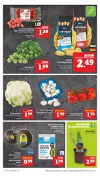 Gazetka promocyjna Marktkauf - Prospekt - Gazetka - ważna od 03.12 do 03.12.2022 - strona 11 - produkty: Abtei, ackergold, aktionspreis, avocado, champignon, champignons, deka, eis, kartoffel, kartoffeln, mango, nuss, pflanze, pflanzen, pflaume, pflaumen, reis, rispentomaten, rosen, Rosenkohl, Schal, Schale, shake, speisekartoffeln, Ti, tomate, tomaten, Yo