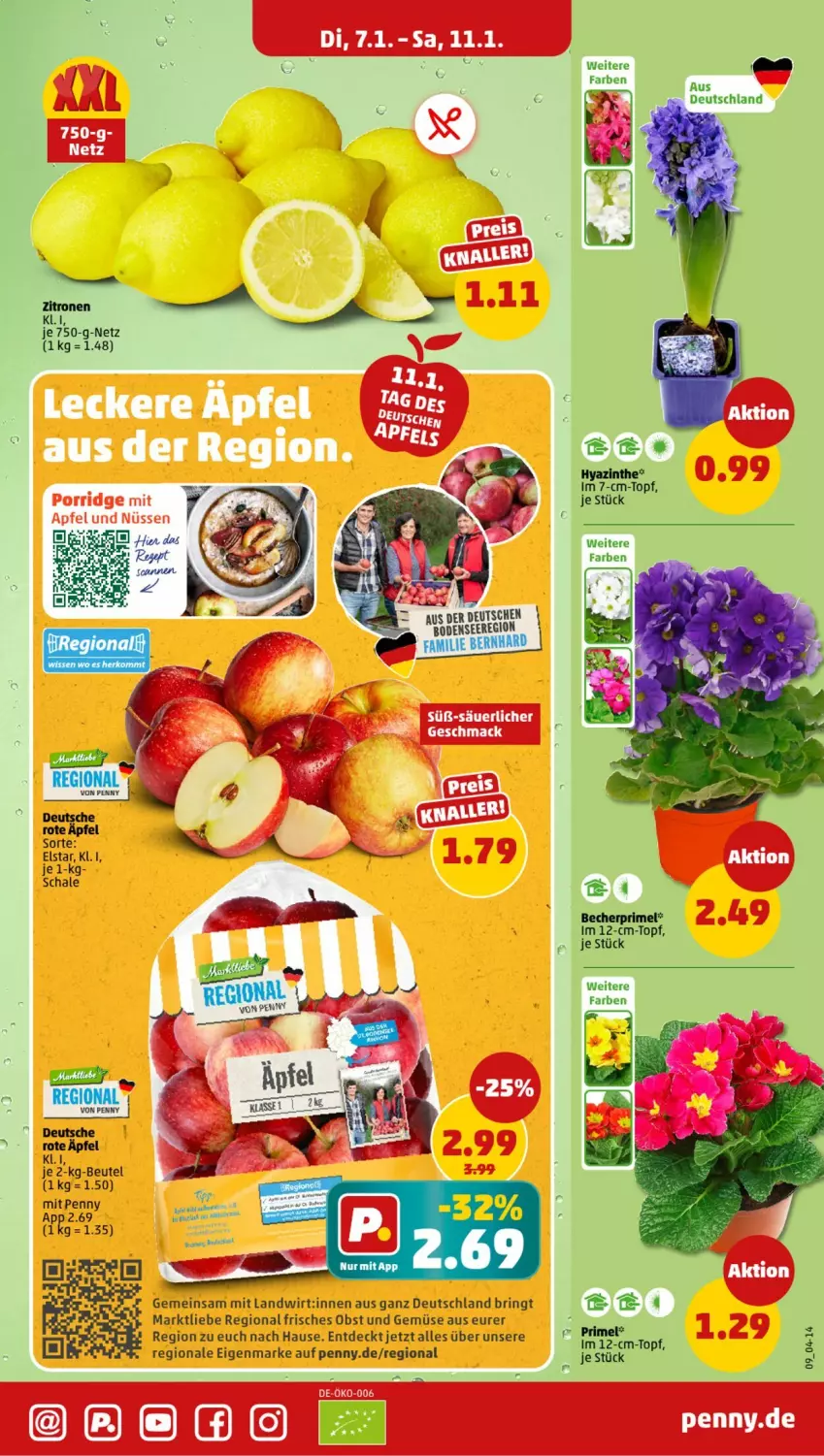 Aktueller Prospekt Penny - Prospekte - von 06.01 bis 11.01.2025 - strona 9 - produkty: beutel, eis, elle, obst, Obst und Gemüse, ring, Schal, Schale, topf, und gemüse, zitrone, zitronen