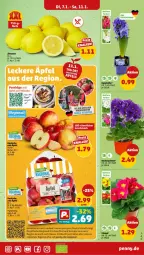 Gazetka promocyjna Penny - Prospekte - Gazetka - ważna od 11.01 do 11.01.2025 - strona 9 - produkty: beutel, eis, elle, obst, Obst und Gemüse, ring, Schal, Schale, topf, und gemüse, zitrone, zitronen