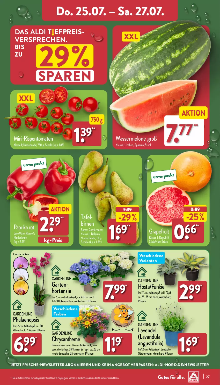 Aktueller Prospekt Aldi Nord - Von Montag - von 22.07 bis 27.07.2024 - strona 27 - produkty: aldi, angebot, Birnen, Blüte, eis, Garten, grapefruit, hortensie, kulturtopf, lavendel, LG, melone, mini-rispentomaten, paprika, paprika rot, pflanze, pflanzen, phalaenopsis, reis, Ria, rispentomaten, Schal, Schale, tafelbirnen, Ti, tomate, tomaten, topf, wasser, wassermelone, ZTE