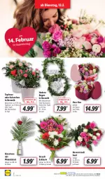 Gazetka promocyjna Lidl - Aktionsprospekt - Gazetka - ważna od 17.02 do 17.02.2024 - strona 2 - produkty: ACC, Holz, Kalanchoe, ndk, rosen, Rosenstrauß, Schal, Schale, Ti, topf