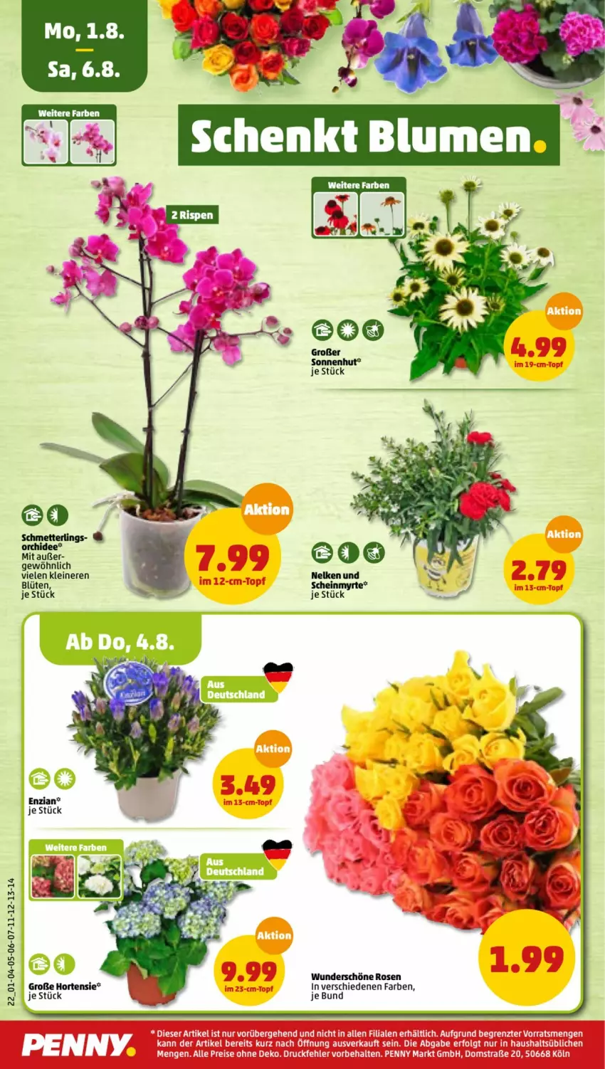 Aktueller Prospekt Penny - Prospekte - von 01.08 bis 06.08.2022 - strona 22 - produkty: Blüte, hortensie, leine, Mett, orchidee, rosen, Schmetterling