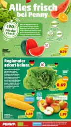 Gazetka promocyjna Penny - Prospekte - Gazetka - ważna od 06.08 do 06.08.2022 - strona 2 - produkty: Bau, elle, fenster, obst, regal, tee, Ti