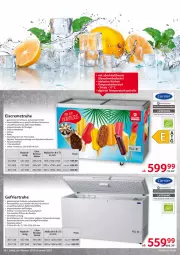 Gazetka promocyjna Selgros - Gastrokatalog - Gazetka - ważna od 31.01 do 31.01.2023 - strona 26 - produkty: Behälter, beleuchtung, brut, creme, decke, Deckel, eis, eiscreme, korb, Leuchte, LG, mab, paneel, reis, Schal, thermostat, Ti, wasser