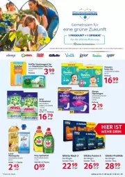 Gazetka promocyjna Selgros - Food - Gazetka - ważna od 17.08 do 17.08.2022 - strona 29 - produkty: Alwa, Always, ariel, baby-dry, eis, elle, fairy, gillette, lenor, lenor weichspüler, LG, mac, pampers, reis, slip, slipeinlagen, spülmittel, staubmagnet, swiffer, Ti, tücher, weichspüler