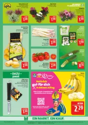Gazetka promocyjna Marktkauf - Prospekt - Gazetka - ważna od 10.10 do 10.10.2026 - strona 9 - produkty: Alpenveilchen, banane, bananen, chiquita, deka, edelstahl, eis, elle, feinschmecker, Garten, kartoffel, kartoffeln, Krebs, LG, reis, rispentomaten, spargel, speisekartoffeln, Ti, tomate, tomaten, topf, ZTE