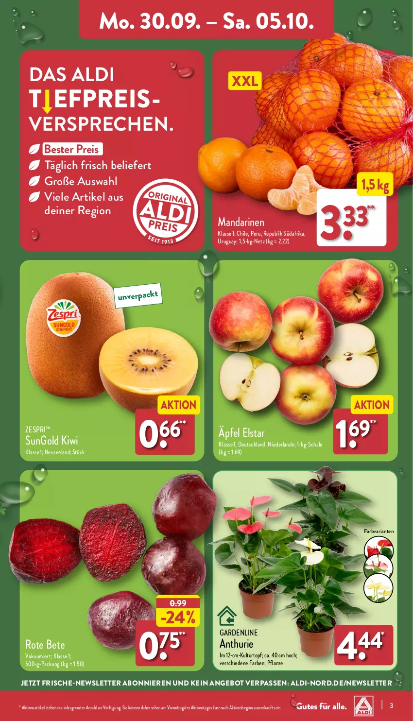 Aktueller Prospekt Aldi Nord - Von Montag - von 30.09 bis 05.10.2024 - strona 3 - produkty: aldi, angebot, eis, Elan, gin, kiwi, kulturtopf, mandarine, mandarinen, pflanze, reis, Ria, rote bete, Schal, Schale, Ti, topf, zespri, ZTE