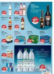 Gazetka promocyjna Vmarkt - Prospekte - Gazetka - ważna od 01.10 do 01.10.2025 - strona 11 - produkty: adelholzener, Alwa, bier, bio, corona, corona extra, eier, elle, flasche, gin, gordon, gordons, Holz, jever, jever pilsener, kraft, mineralwasser, Molinari, pils, pilsener, red bull, sambuca, Southern Comfort, tee, vita, volvic, wasser