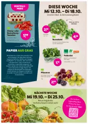 Gazetka promocyjna Denns Biomarkt - Prospekte - Gazetka - ważna od 25.10 do 25.10.2022 - strona 4 - produkty: angebot, angebote, cherrytomaten, eis, elle, erde, feldsalat, Holz, mac, mais, natur, obst, papier, pflaume, pflaumen, Rauch, reis, rosen, Rosenkohl, salat, Schal, Schale, Stier, Ti, tomate, tomaten, vorteilspreis, wasser, zucker