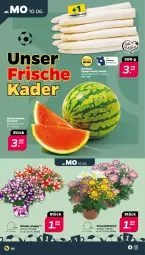 Gazetka promocyjna Netto - Woche 24 - Gazetka - ważna od 15.06 do 15.06.2024 - strona 2 - produkty: chrysanthemen, melone, spargel, wasser, wassermelone