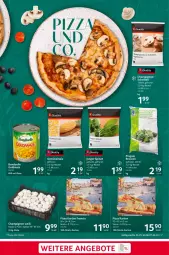 Gazetka promocyjna Selgros - Gazetka - ważna od 07.02 do 07.02.2024 - strona 7 - produkty: beutel, bonduelle, bonduelle goldmais, broccoli, brokkoli, champignon, champignons, eis, elle, gemüsemais, Goldmais, mais, pingui, pizza, reis, spinat, Ti