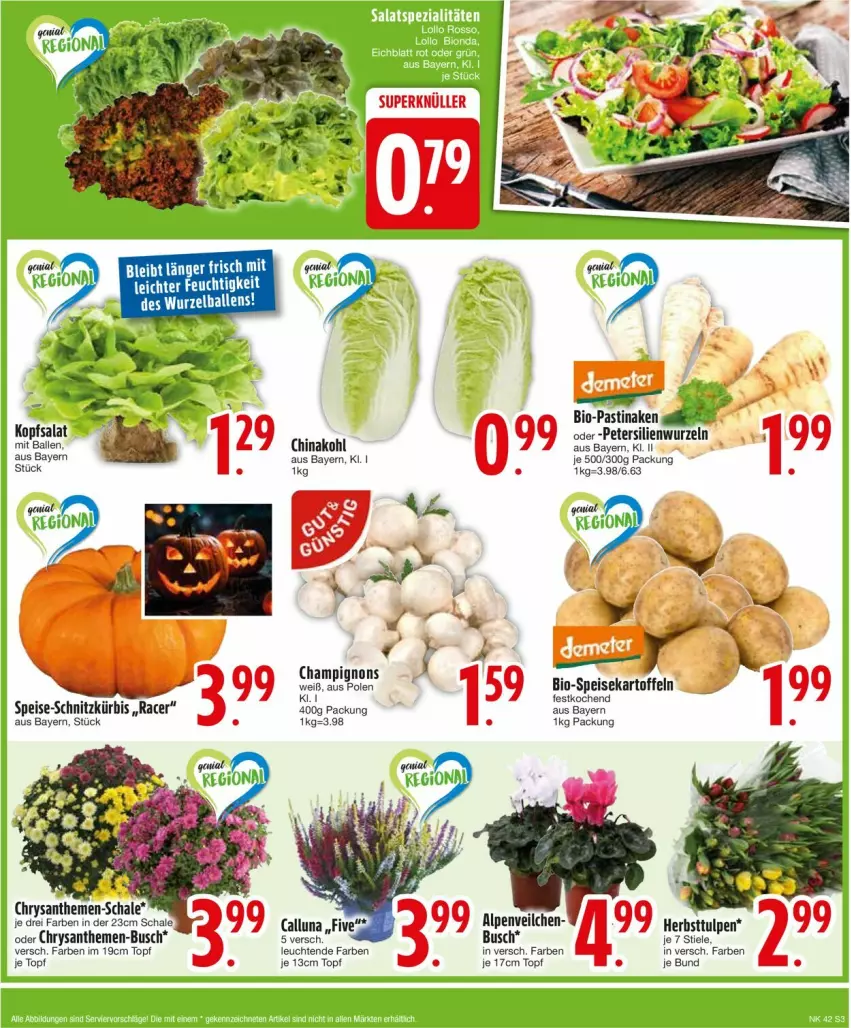 Aktueller Prospekt Edeka - Prospekte - von 14.10 bis 19.10.2024 - strona 5 - produkty: acer, asti, ball, bio, chrysanthemen, eis, kopfsalat, Kürbis, Leuchte, leuchten, salat, Schal, Schale, tee, Ti, topf