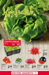 Gazetka promocyjna Selgros - Food - Gazetka - ważna od 05.07 do 05.07.2023 - strona 3 - produkty: ACC, angebot, angebote, apfel, beere, beeren, cola, eis, fleisch, grana, granatapfel, himbeer, himbeere, himbeeren, LG, melone, perla, Rana, reis, Ria, rucola, Schal, Schale, Ti, tomate, tomaten, wasser, wassermelone