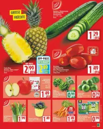 Gazetka promocyjna Edeka - Prospekte - Gazetka - ważna od 31.01 do 31.01.2026 - strona 5 - produkty: gurke, gurken, salat, Salatgurke, salatgurken, Ti