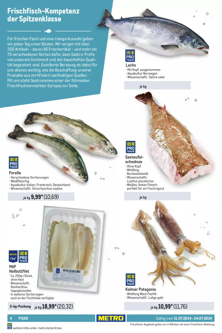 Aktueller Prospekt Metro - GastroJournal - von 11.07 bis 24.07.2024 - strona 4 - produkty: Abtei, angebot, angebote, aqua, auer, eis, elle, ente, filet, fisch, fischtheke, fleisch, forelle, frischfisch, Heilbuttfilet, hipp, lachs, Metro, Ragout, rel, rwe, Ti, Wild