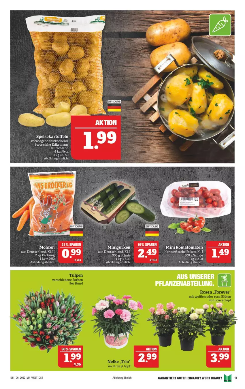 Aktueller Prospekt Marktkauf - Prospekt - von 06.02 bis 12.02.2022 - strona 11 - produkty: Romatomaten, Schal, Schale, Ti, tomate, tomaten