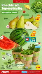 Gazetka promocyjna Penny - Prospekte - Gazetka - ważna od 06.07 do 06.07.2024 - strona 2 - produkty: Birnen, eis, fenster, melone, reis, tee, Ti, wasser, wassermelone, ZTE