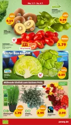 Gazetka promocyjna Penny - Prospekte - Gazetka - ważna od 06.07 do 06.07.2024 - strona 3 - produkty: Elan, kräuter, LG, paprika, rosen, snack, Ti, tomate, tomaten, topf