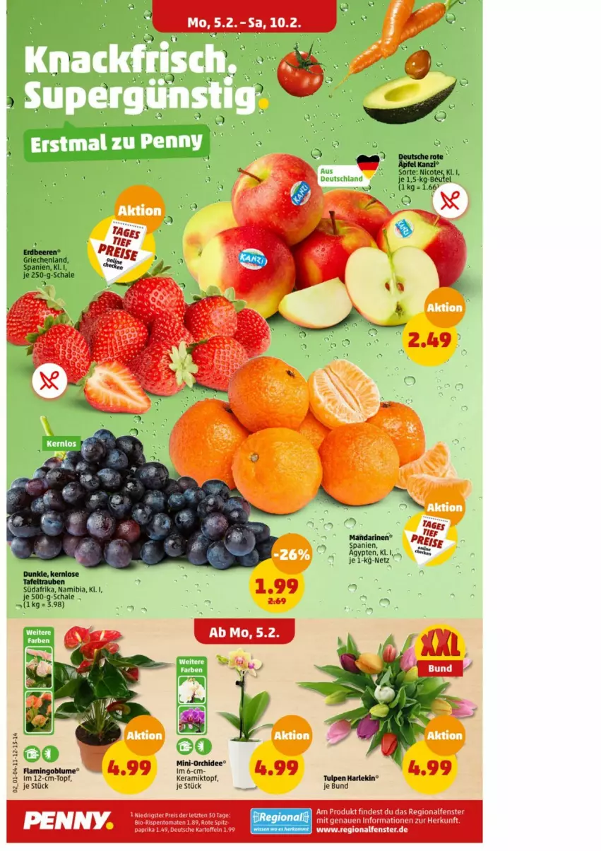 Aktueller Prospekt Penny - Prospekte - von 05.02 bis 10.02.2024 - strona 3 - produkty: eis, fenster, mandarine, mandarinen, orchidee, reis, Schal, Schale, tafeltrauben, Ti, topf, trauben