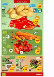 Gazetka promocyjna Penny - Prospekte - Gazetka - ważna od 10.02 do 10.02.2024 - strona 4 - produkty: kartoffel, kartoffeln, orchidee, paprika, Spitzpaprika