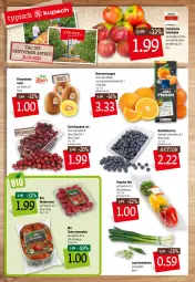 Gazetka promocyjna Kupsch - Angebote der Woche - Gazetka - ważna od 15.01 do 15.01.2022 - strona 6 - produkty: apfel, beere, beeren, bio, cherrytomaten, heidelbeere, heidelbeeren, himbeer, himbeere, himbeeren, kiwi, Kiwi Gold, Lauchzwiebel, lauchzwiebeln, obst, orange, orangen, paprika, paprika mix, Schal, Schale, tafeläpfel, tafeltrauben, Ti, tomate, tomaten, trauben, zwiebel, zwiebeln