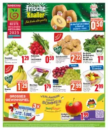 Gazetka promocyjna E Center - Angebote der Woche - Gazetka - ważna od 23.09 do 23.09.2023 - strona 7 - produkty: Abtei, ananas, Astra, banane, bananen, beere, beeren, bio, blattspinat, cola, deka, eis, Elan, ente, erdbeere, erdbeeren, frucht, Garten, kartoffel, kartoffeln, kiwi, Kiwi Gold, Lauchzwiebel, lauchzwiebeln, lebensmittel, obst, radieschen, reis, ring, rosen, Rosenkohl, rucola, salat, Schal, Schale, speisekartoffeln, speyer, spinat, Stiegl, tafeläpfel, tafeltrauben, Ti, trauben, wagner, Wild, zwiebel, zwiebeln