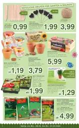 Gazetka promocyjna Kodi - Prospekte - Gazetka - ważna od 31.03 do 31.03.2022 - strona 6 - produkty: basilikum, berliner, beutel, blume, blumen, blumenerde, eis, erde, Garten, Holz, kokos, kräuter, Kreide, Mett, minze, paprika, petersilie, pflanze, pflanzen, rasen, reis, salat, Schmetterling, schnittlauch, sonnenblume, sonnenblumen, Spezi, Sport, Stier, Ti, topf
