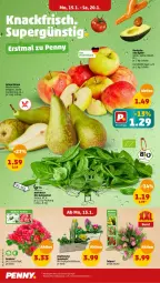 Gazetka promocyjna Penny - Prospekte - Gazetka - ważna od 20.01 do 20.01.2024 - strona 2 - produkty: Babyspinat, bio, Birnen, eis, korb, LG, natur, reis, Romatomaten, Schal, Schale, spinat, Ti, tomate, tomaten, topf, ZTE