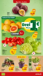 Gazetka promocyjna Penny - Prospekte - Gazetka - ważna od 20.01 do 20.01.2024 - strona 3 - produkty: aeg, eis, eisbergsalat, frucht, papier, Papiertüte, pflanze, Romatomaten, salat, Schal, Schale, tomate, tomaten, topf, Tüte