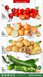 Gazetka promocyjna Penny - Prospekte - Gazetka - ważna od 20.01 do 20.01.2024 - strona 5 - produkty: bio, bio-zucchini, eis, kartoffel, kartoffeln, natur, reis, Romatomaten, Schal, Schale, Ti, tomate, tomaten, ZTE, zucchini