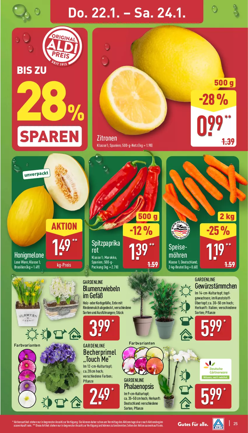 Aktueller Prospekt Aldi Nord - Von Montag - von 19.01 bis 24.01.2026 - strona 25 - produkty: Becher, beutel, blume, blumen, Blüte, Brei, eis, erde, gewürz, gin, Holz, honig, honigmelone, korb, kulturtopf, melone, möhren, paprika, paprika rot, pflanze, phalaenopsis, reis, Ria, rind, rindenmulch, Spitzpaprika, Ti, topf, zitrone, zitronen, ZTE, zwiebel, zwiebeln