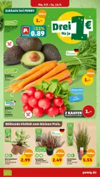 Gazetka promocyjna Penny - Prospekte - Gazetka - ważna od 14.09 do 14.09.2024 - strona 3 - produkty: Bundmöhren, eis, möhren, pflanze, radieschen, reis, Ti, topf