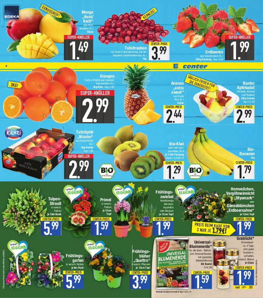 Aktueller Prospekt E Center - Angebote der Woche - von 13.03 bis 18.03.2023 - strona 2 - produkty: ananas, apfel, auer, banane, bananen, beere, beeren, beutel, bio, blume, blumen, blumenerde, eis, elle, ente, erdbeere, erdbeeren, erde, Garten, kiwi, Kiwi Gold, mango, orange, orangen, pflanze, pflanzen, reis, sahne, salat, Schal, Schale, Spezi, super-knüller, tafeläpfel, tafeltrauben, Ti, topf, trauben, usb, Yo, ZTE, zwiebel