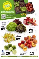 Gazetka promocyjna Metro - Food - Gazetka - ważna od 06.07 do 06.07.2022 - strona 8 - produkty: agrarfrost, angebot, angebote, auto, beere, beeren, beutel, bio, brötchen, bunte salate, coppenrath, decke, eis, flammkuchen, fleisch, geback, Goldstücke, kuchen, lamm, limette, limetten, Metro, Mett, metten, mozzarella, Nektar, nektarinen, obst, Ofen, paprika, paprika rot, pfirsich, pfirsiche, Physalis, piccolinis, pizza, reis, rel, salat, salate, Schal, Schale, steinofen, Ti, tiefkühlkost, tisch, und gemüse, wagner, weizenbrötchen