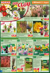 Gazetka promocyjna Norma - Norma - Gazetka - ważna od 05.09 do 05.09.2022 - strona 12 - produkty: Bau, bio, blume, blumen, Blüte, Bromelie, dünger, Garten, Heidekraut, Kraut, kulturtopf, Narzissen, natur, obst, orange, pflanze, pflanzen, rasen, rasendünger, Ria, ring, rouge, Stier, Ti, topf, trauben, usb, Vase, zwiebel, zwiebeln