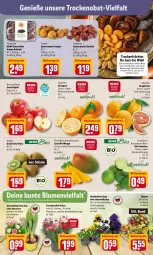 Gazetka promocyjna Rewe - Prospekte - Gazetka - ważna od 03.04 do 03.04.2022 - strona 2 - produkty: aktionspreis, bio, blume, blumen, Datteln, eis, Feigen, frucht, früchte, Garten, gartennelke, grapefruit, kiwi, limette, limetten, mango, Mett, metten, müsli, obst, orange, orangen, pflanze, pflanzen, reis, rewe feine welt, Schal, Schale, snack, Ti, topf, Trockenfrüchte, zucker