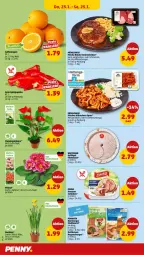 Gazetka promocyjna Penny - Prospekte - Gazetka - ważna od 25.01 do 25.01.2025 - strona 24 - produkty: Berger, blume, burger, eis, filet, fleisch, Geflügel, gyros, mit zwiebeln, nürnberger, paprika, regal, regensburger, rind, rinder, ring, schinken, Spitzpaprika, topf, wiltmann, wurst, zimbo, zwiebel, zwiebeln