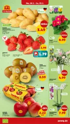 Gazetka promocyjna Penny - Prospekte - Gazetka - ważna od 25.01 do 25.01.2025 - strona 3 - produkty: beere, beeren, erdbeere, erdbeeren, kartoffel, kartoffeln, kiwi, sac, Schal, Schale, topf, zespri