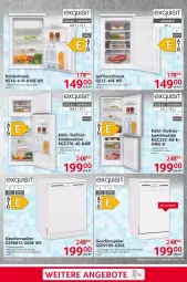 Gazetka promocyjna Selgros - Non Food - Gazetka - ważna od 06.11 do 06.11.2024 - strona 19 - produkty: angebot, angebote, eier, gefrierschrank, geschirr, geschirrspüler, kühlschrank, Rauch, Schrank, Ti